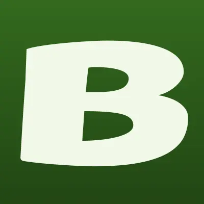 БЕРЖ, лого-визитка