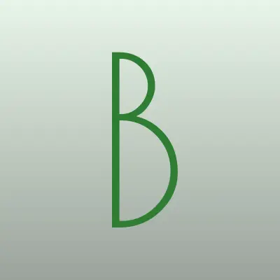 BRANDSTEEL, лого-визитка