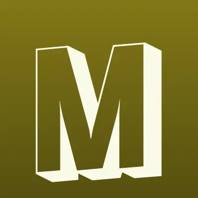 МЕГА ШАРИК, выездная служба, лого-визитка