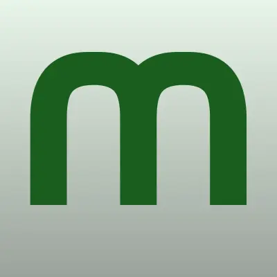 МОНТАЖ ЛИФТОВ, лого-визитка