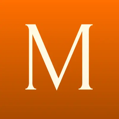 Магазин электротоваров, ИП Шарипзянов Л.Ш., лого-визитка