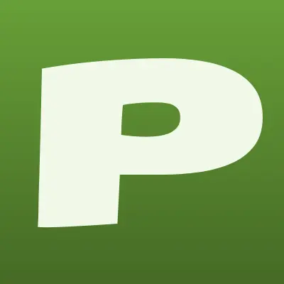 Проекты и Решения, компания, лого-визитка